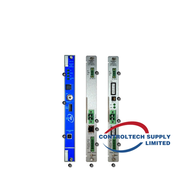 Belcente Nevada 3300/26-XX-XX-XX-00-00-01-00 Monitor RMS a doppio accelerometro